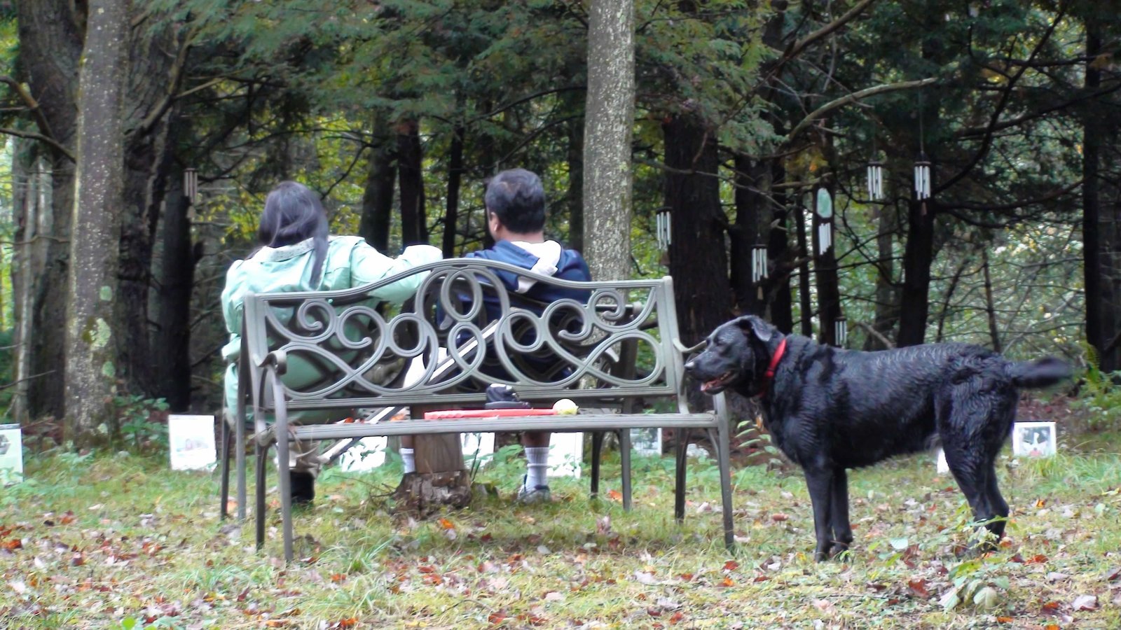 Two people sitting on a garden bench among the trees, with their black dog beside them